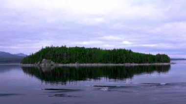 Yolcu gemisinin gölde dalgalanmaları. Huzurlu güzellik. Yolcu gemisi yol boyunca manzaralı bir şekilde Kanada fiyortlarından geçiyor. Haziran 2019.