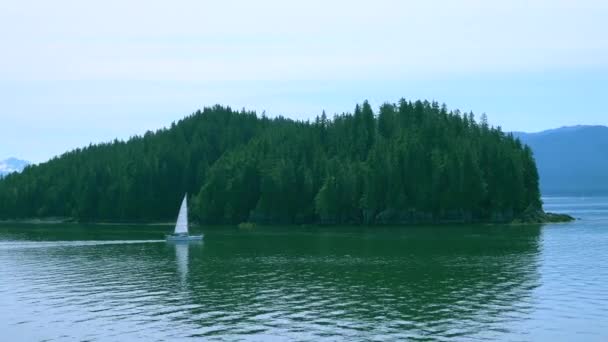 Plachetnice Plující Jezeře Malý Ostrov Pozadí Fjordy Aljašky Jedinečná Přírodní — Stock video