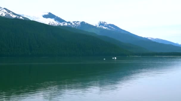 Wybierz Się Rejs Jeziorze Aby Zobaczyć Góry Lodowe Fiordy Alaski — Wideo stockowe