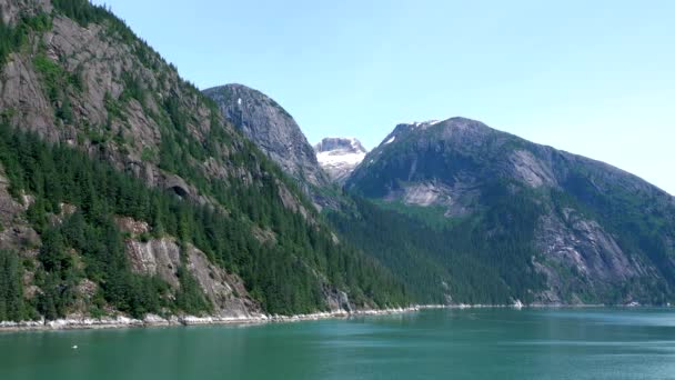 Machen Sie Eine Bootsfahrt Auf Dem See Die Eisberge Sehen — Stockvideo