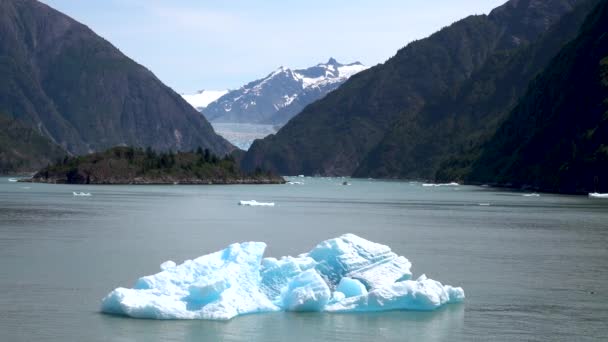 Lód Unosi Się Powierzchni Jeziora Jest Bursztynowa Woda Niebieski Fiordy — Wideo stockowe