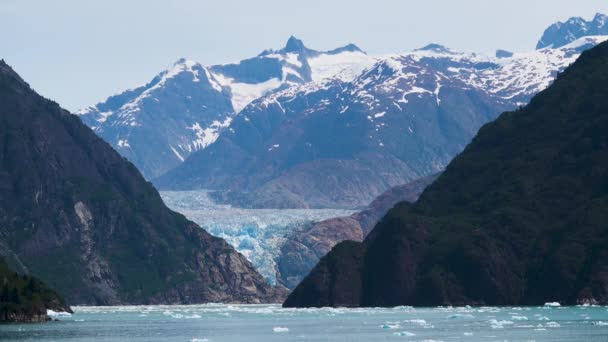 Лід Плаває Поверхні Озера Бурштинова Вода Блакитна Фіорди Аляски Унікальні — стокове відео