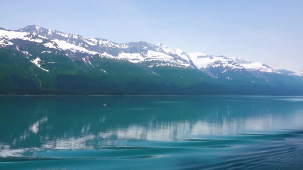 Kryssning Sjön Och Isbergen Sjön Bärnstensblå Fjordarna Alaska Unika Naturliga — Stockvideo