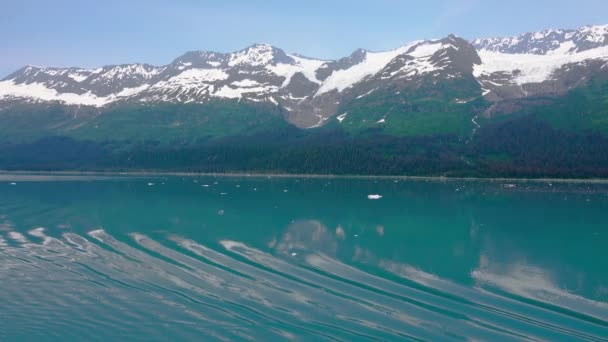 Kryssning Sjön Och Isbergen Sjön Bärnstensblå Fjordarna Alaska Unika Naturliga — Stockvideo