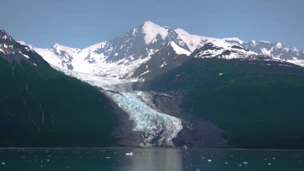 Kryssning Sjön Och Isbergen Glaciärer Som Rinner Sjön Fjordarna Alaska — Stockvideo