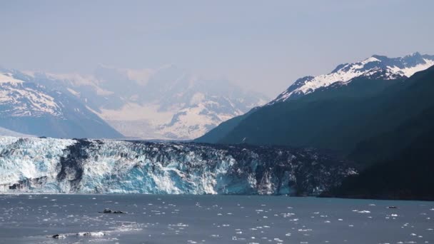 夏の棚氷の様々な景色 クルーズ船からの棚氷の景色をお楽しみください アラスカ アメリカ 2019年7月 — ストック動画