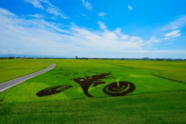 Pirinç Tarlası Boya Sanatı Çiftçiler Sanatçılar Tarafından Birlikte Yapılmıştır Gökyüzü — Stok fotoğraf