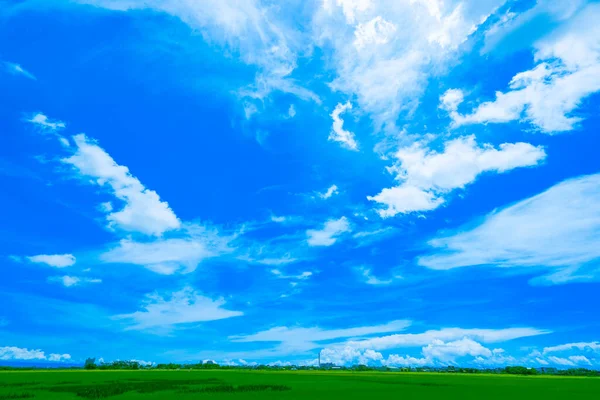 Riset Paddyfärg Konst Skapas Jordbrukare Och Konstnärer Tillsammans Sky Solig — Stockfoto