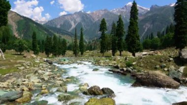 Güzel dağ manzarası. Mavi gökyüzü, kayalarla dolu temiz bir nehir. Jammu ve Kashmir 'deki Sonamarg Hill Trek' te derinlemesine bir yolculuk, Haziran 2018