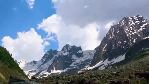 Nádherné Hory Údolí Sníh Modrá Obloha Bílé Mraky Létající Ptáci — Stock video