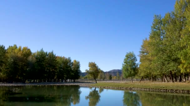 Paisajes Poéticos Cielos Azules Limpios Ríos Claros Árboles Frondosos Cañón — Vídeos de Stock