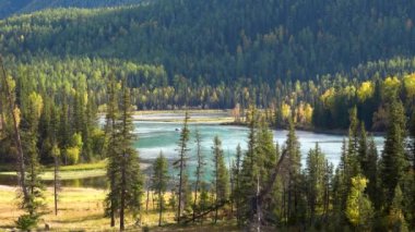 Kanas Gölü 'nün Wolong Körfezi. Kristal mavi nehir, küçük kum barı. Yeşil ağaç tepeleri. Cennetin doğal güzelliği. Kanas Doğa Koruma Alanı. Xinjiang Eyaleti, Çin. Eylül 2018
