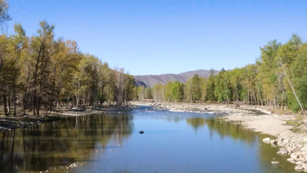 Paisajes Poéticos Cielos Azules Limpios Ríos Claros Árboles Frondosos Cañón — Vídeos de Stock