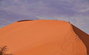 Kızıl çöl, ölü ağaçlar ve kum tepelerinde yürüyüş yapan turistler. Sossusvlei, Namibya 'nın Namib-Naukluft Ulusal Parkı' nda bulunan kırmızı kumullarla çevrili bir tuz ve kil tavasıdır. Ekim 2019