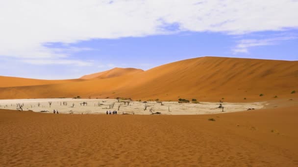 Красная Пустыня Мертвые Деревья Туристы Путешествующие Песчаным Дюнам Соссуссо Кастрюля — стоковое видео