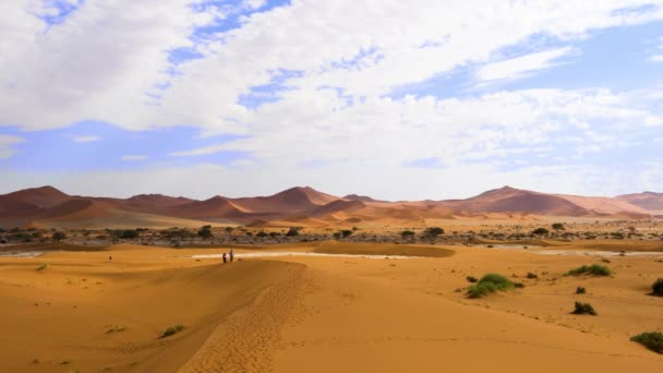 Червона Пустеля Мертві Дерева Туристи Ходять Піщаних Дюнах Sossusvlei Солона — стокове відео