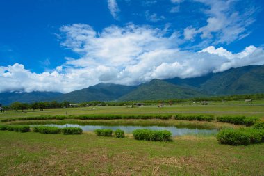 Uzak dağlarda, mavi gökyüzü ve beyaz bulutlar çimenleri, temiz havayı besler. Süper karbon-adsoring oksijen jeneratörü. Danongdafu Düzlük Parkı, Hualien County, Tayvan. Ağustos 2021