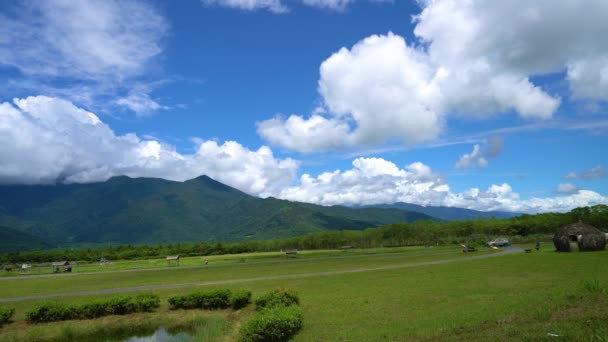 遠くの山々では 青い空と白い雲率草 新鮮な空気 超炭素吸着酸素発生器 台湾花蓮県大同大夫フラットランド森林公園 2021年8月 — ストック動画