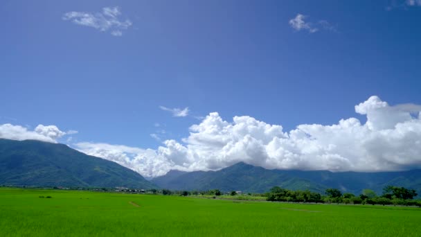 Mavi Gökyüzü Beyaz Bulutlar Pirinç Tarlaları Resim Gibi Doğu Rift — Stok video