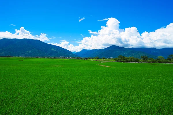 Céu Azul Nuvens Brancas Campos Arroz Combinados Pitorescos East Rift — Fotografia de Stock