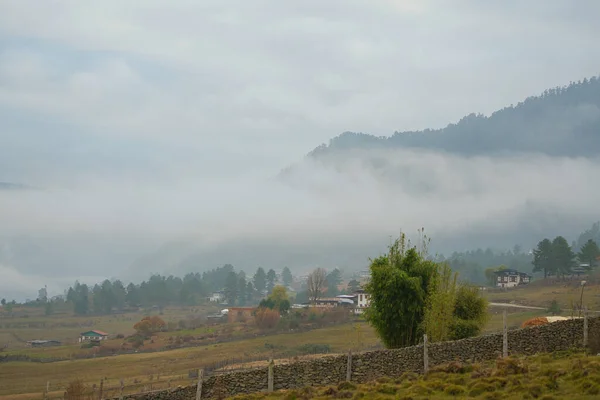 Por Noche Niebla Rodea Los Árboles Las Casas Las Montañas —  Fotos de Stock