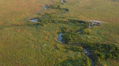 Kenya 'daki Maasai Mara Ulusal Rezervi' nde uçan sıcak hava balonunun ve geniş ovaların hava manzarası. Suyun özelliklerine sahip Afrika manzarası.