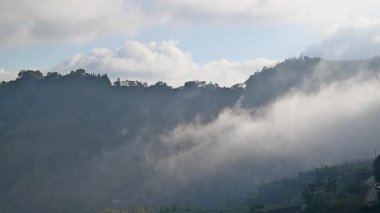 Zhuchi Kasabası, Alishan, Chiayi, Tayvan 'daki yoğun, dalgalı sisin üzerinde yükselen binaların ve dağ ormanlarının muhteşem manzarası. Aydınlık bir kış sabahı serin hava.