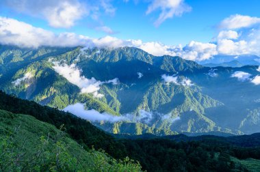 Nantou Tayvan 'daki Hehuan Dağı' nın orman yamaçlarında yoğun bulutlar sürükleniyor. Berrak mavi gökyüzünün altında canlı bir sonbahar sahnesi.