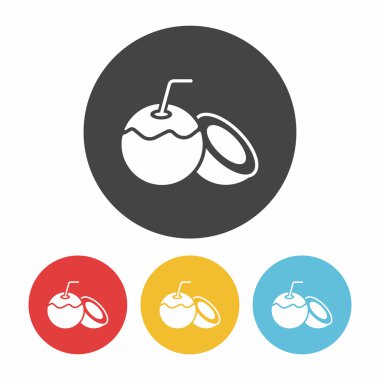 meyve Hindistan cevizi simge vektör çizim