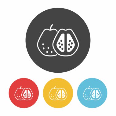 meyve guava simge vektör çizim