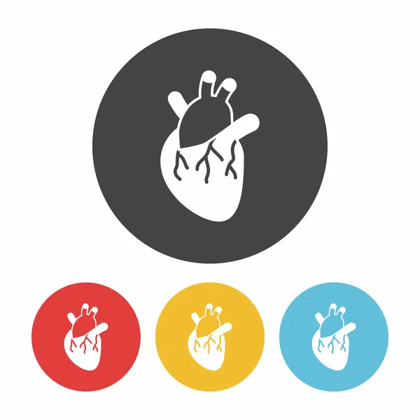 Organ heart icon vector illustration — Stock Vector