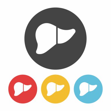 karaciğer simge vektör çizim