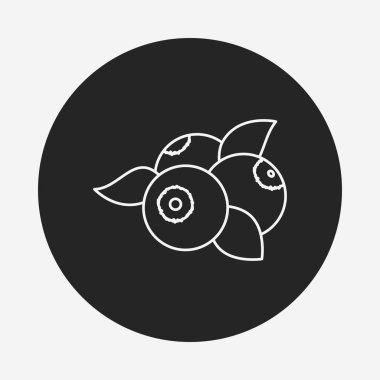 meyve yaban mersini satırı simgesi