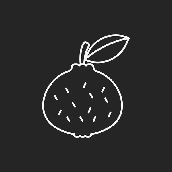 Fruits orange ligne icône — Image vectorielle