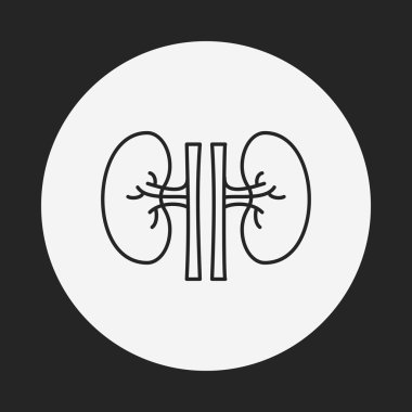 Böbrek çizgisi simgesi