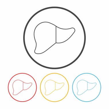 karaciğer satır simge vektör çizim