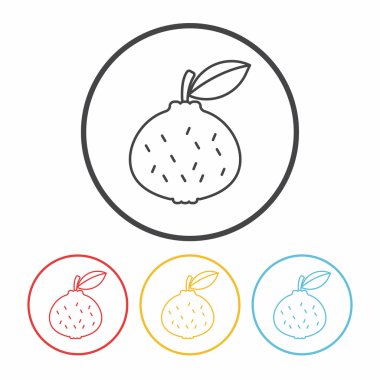 meyveler turuncu simge vektör çizim çizgi