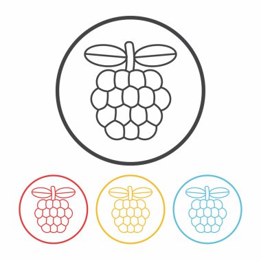 meyve üzüm satırı simgesi