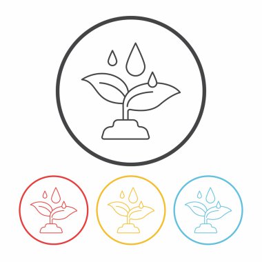 Çevre koruma kavramı; ormanları korumak ve ekolojik