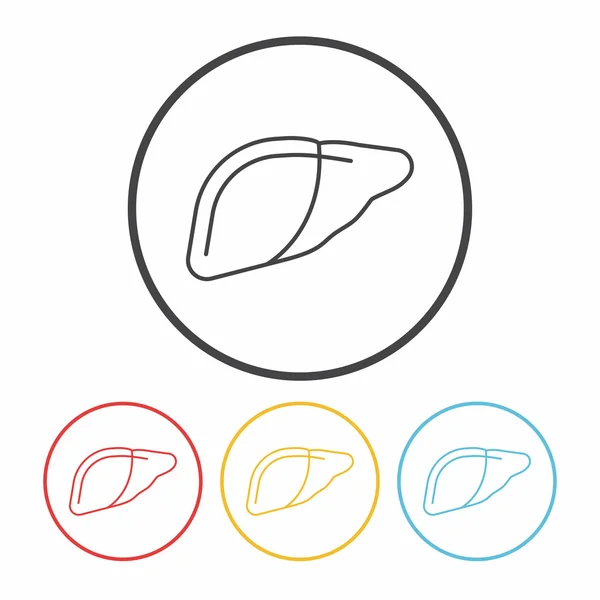 Illustrazione del vettore dell'icona della linea del fegato — Vettoriale Stock