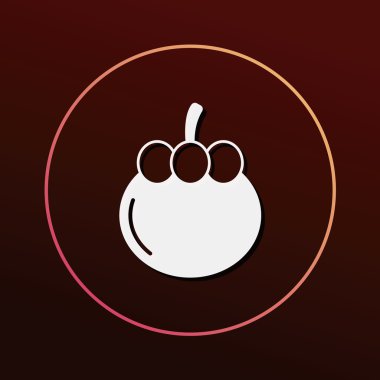 meyve Mangosteen simge vektör çizim