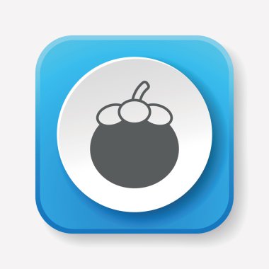 meyve Mangosteen simge vektör çizim