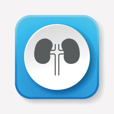 Böbrek simge vektör çizim vektör çizim