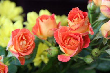 Güzel Bahar Çiçeği