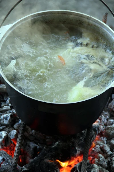 Fisksprit. Varm och välsmakande gårdsbouillon av öring och grönsaker. Hälsosam och läcker turistlunch. Mat tillagad på eld. Stockfoto