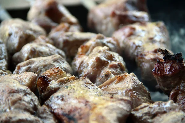 Kebab. Fiesta en el jardín. Carne deliciosa asada. Cordero frito. Grill. Barbacoa . —  Fotos de Stock