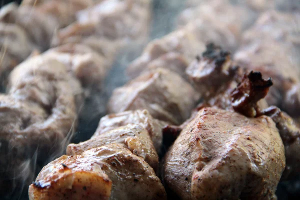 Kebab. Garden party. Spit-roasted delicious meat. Fried mutton. Grill. Barbecue. — Stock Photo, Image