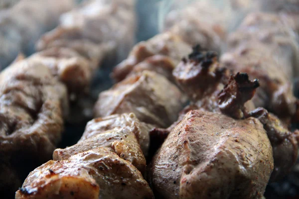 Kebab. Tuin partij. Spiesjes heerlijk vlees. Gebakken schapenvlees. Grill. Barbecue. — Stockfoto