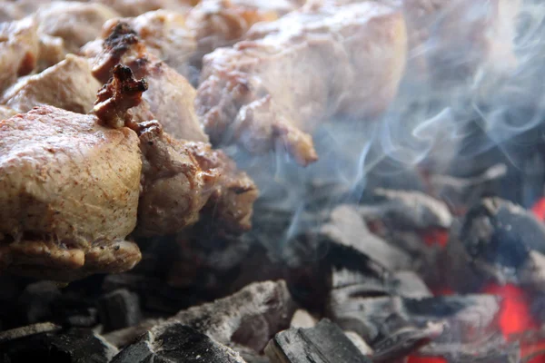 Kebab. Kerti party. Spit pörkölt ízletes hús. Sült bárányhús. Grill. Grillezési lehetőség. — Stock Fotó