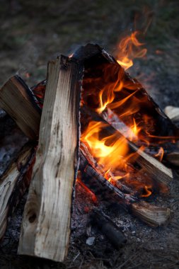 Şöminede Ateş